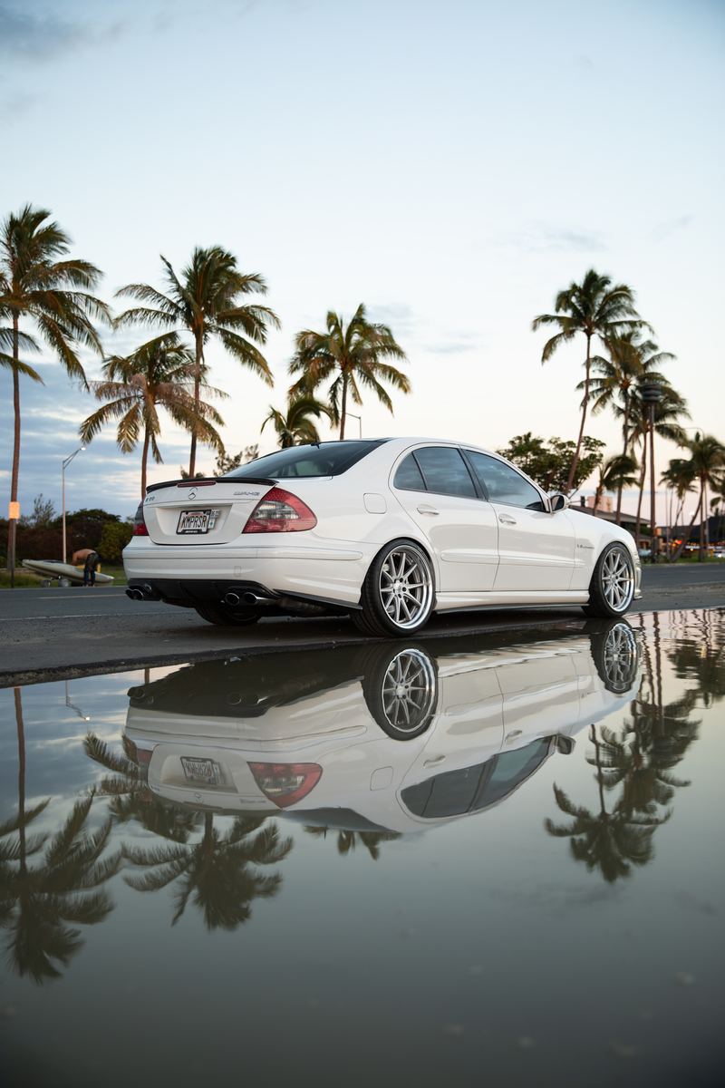 White Mercedes E55 AMG mirrored in a reflection beneath palm trees